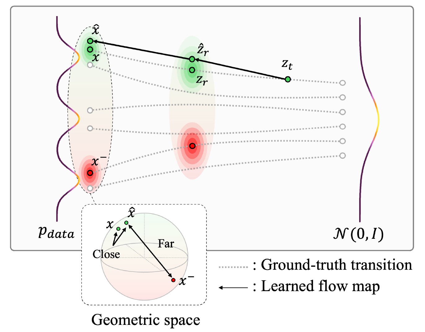 [C102] Contrastive Flow Map Matching | SKKU IRIS Lab