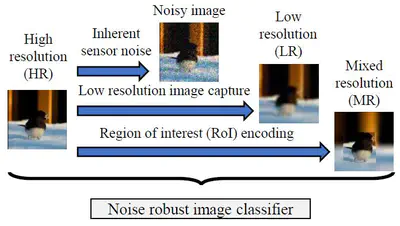 [C16] A Unified Embedding for Image Classification and Pixel-Level Regularization