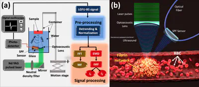 [J22] Micro-ultrasonic Assessment of Early Stage Clot Formation and Whole Blood Coagulation Using an All-Optical Ultrasound Transducer and an Adaptive Signal Processing Algorithm